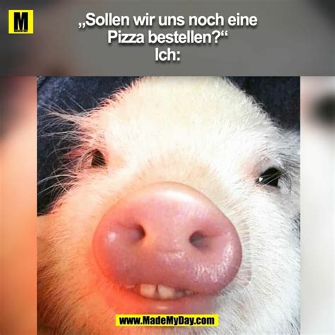 lustig bilder zum lachen